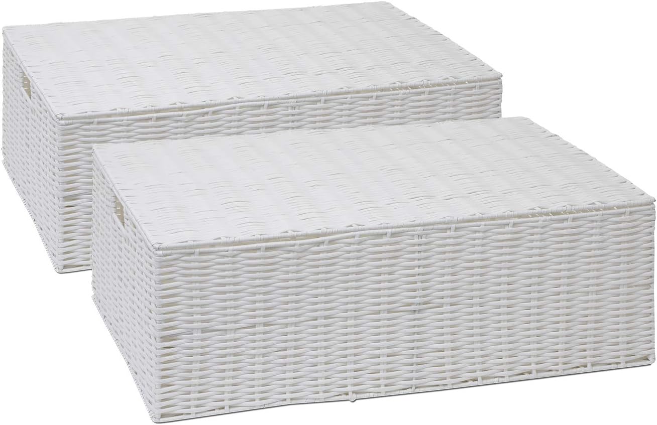 ARPAN Resin Woven Under Bed Storage Box, Chest Shelf Toy
