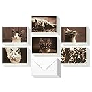 36 Pack Blank Note Cards – All Occasion Assorted Real Photograph Cat Images - With White Paper Envelopes Included 4 x 6 Inches