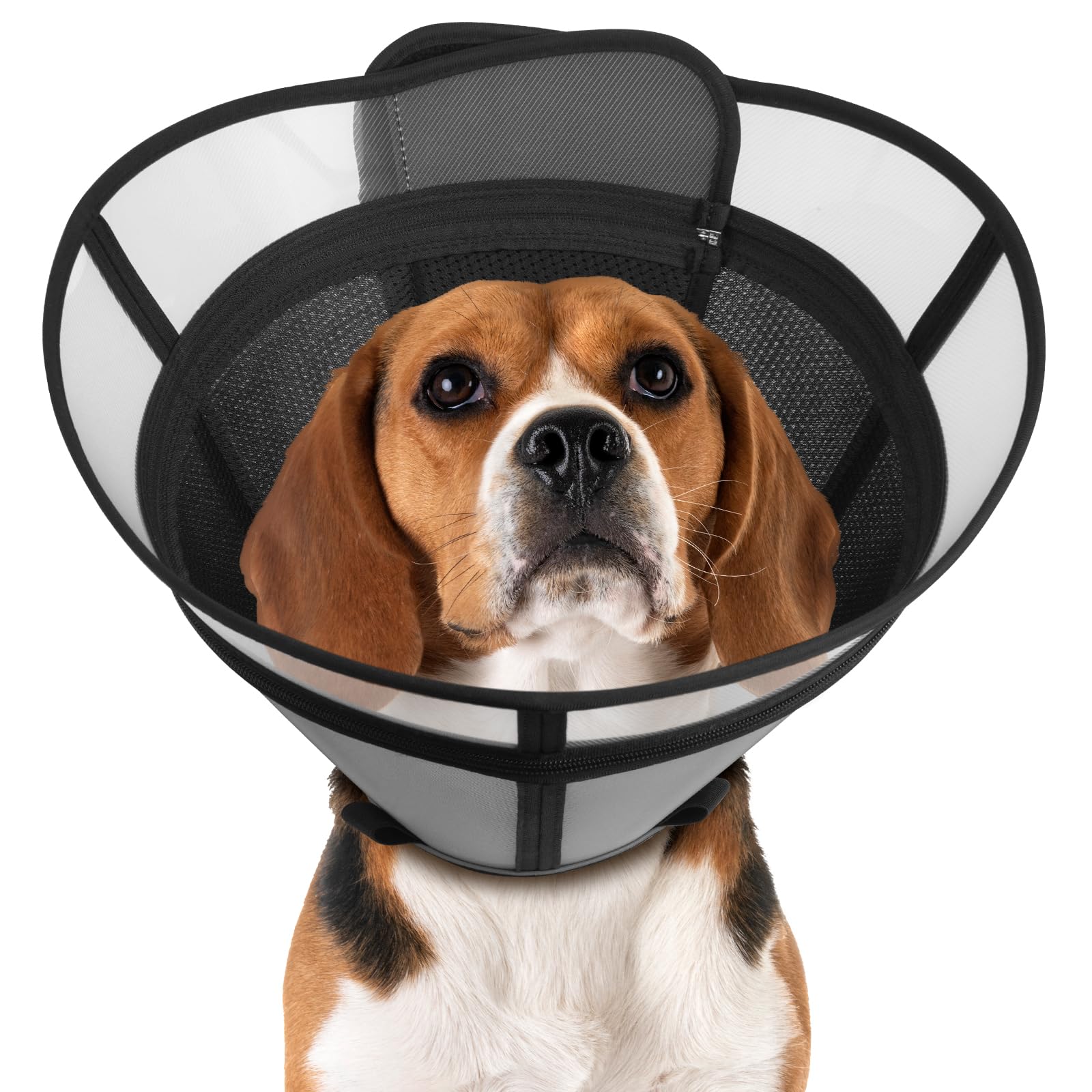 Photo 1 of Cone for Dogs – Soft Elizabethan Collar for Large, Medium & Small Dogs | Post-Surgery Recovery, Anti-Licking, Adjustable & Lightweight Dog Cone Alternative (Black,L)