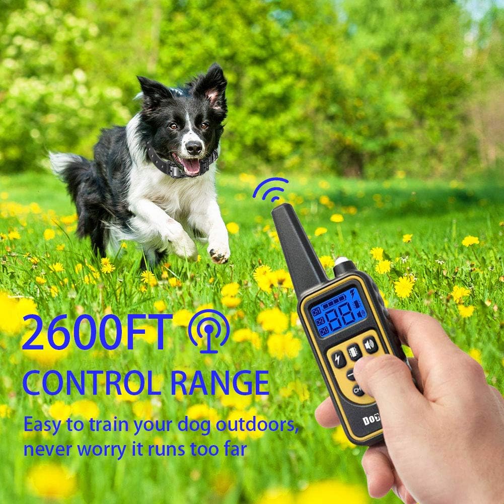 funshion shock collar