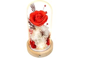 REGALO FLOR Flowers, Roses, Gifts–Flowers Bouquet & Forever Flowers for Delivery Prime - Preserved Flowers Birthday Gift for Women, Valentine's, Mother's Day, Christmas–Lasting Fresh Roses, Battery Included