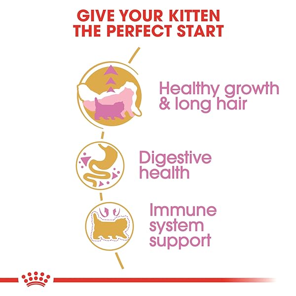 ROYAL CANIN PERSIAN BREED DRY KITTEN FOOD, 3 LB BAG