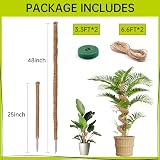 Yizerel Bendable Moss Pole 25 Inch 2 Pack for Monstera Creepers Plant Support view 2