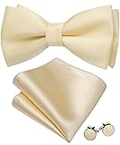 Barry.Wang Champagne Bow Ties for Men Pre-tied Bow