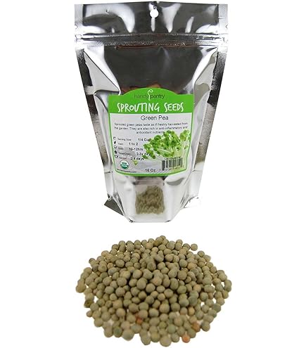 tiny terrarium plants Mini DIY Terrarium Kit