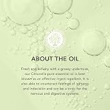 Tisserand Organic Citronella Essential Oil 9 ml view 3