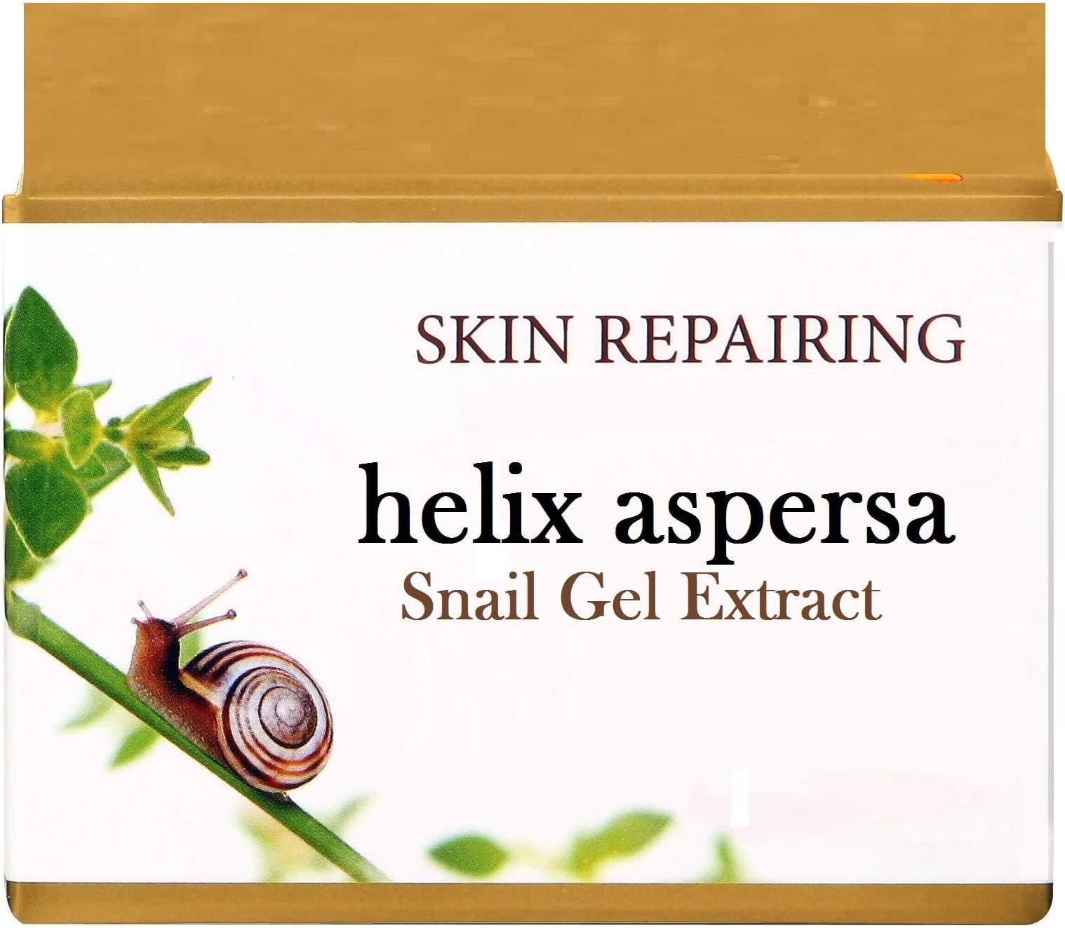 Cellto Snail Gel