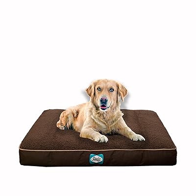 sealy dog bed extra large