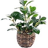 Ainuowei Artificial Vibrant Plants 14.2 inches Tall Fake Outdoor Greenery Plants with Ficus Leaves in Brown Rattan Planter for Indoor Home Office Garden Modern Decoration Ideal Housewarming Gift