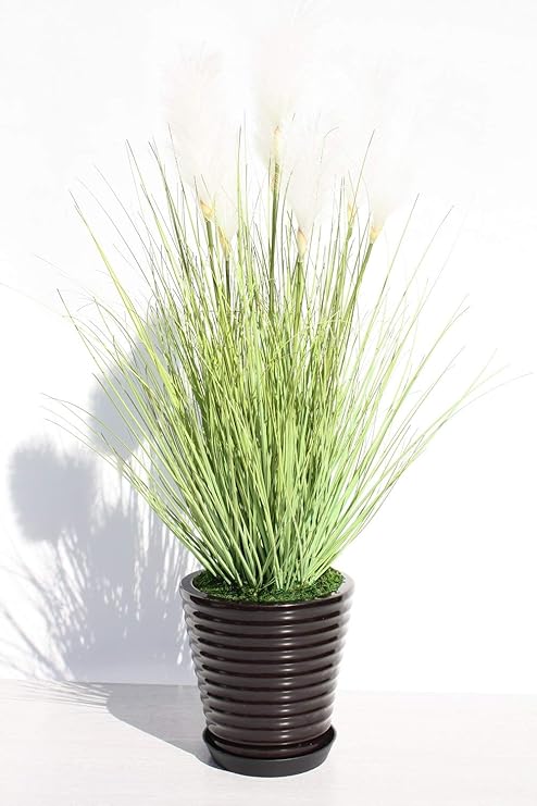 Amazon インテリアグリーン人工観葉植物 新グラスリードs陶器鉢受け皿付き 光触媒製品 人工観葉植物 オンライン通販