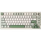 YUNZII B75 PRO Wireless Mechanical Keyboard,75% Layout with Knob,Hot Swap Gasket Structure,Creamy Pre-lubed Switches,RGB Backlit,Bluetooth/Type-C/2.4G for Win/Mac (Matcha Green, Cocoa Cream V2 Switch)