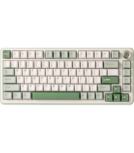 Amazon.com: Ducky One 3 TKL Matcha 80% Mechanical Keyboard