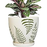 MPotTo Ceramic Pot for Plants - 6.8 Inch Plant Pot Indoor with Drainage Hole and Saucer, Boho Round Planter for Indoor Outdoor Flowers, Gardening Gifts for Women Men, Garden Home Office Decor, White