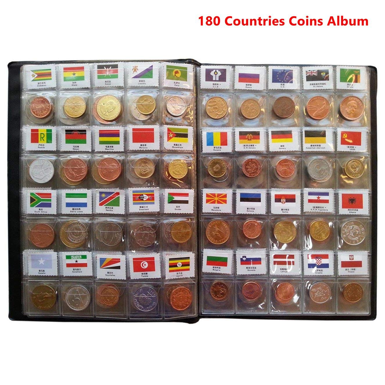 The 9 Best Genie Coin