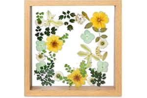 fanhuashijn Clear Pressed Flower Frame - Dried Flower Frame Adult Girls Night Crafts for Women Mother Gift (Green, Medium)