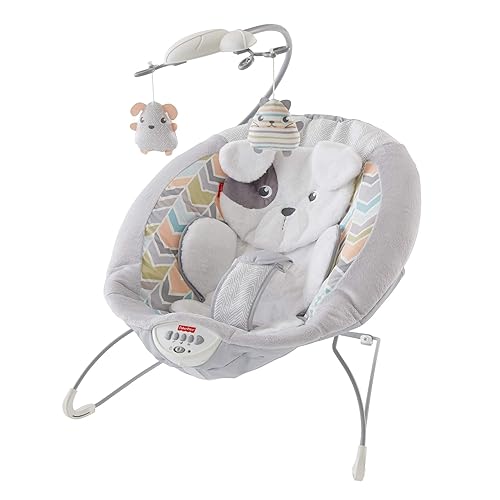 Fisher-Price Sweet Snugapuppy Deluxe Bouncer, portable bouncing