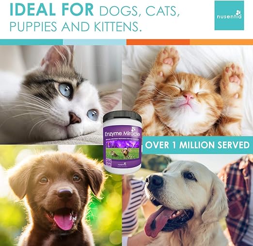 nusentia enzyme miracle