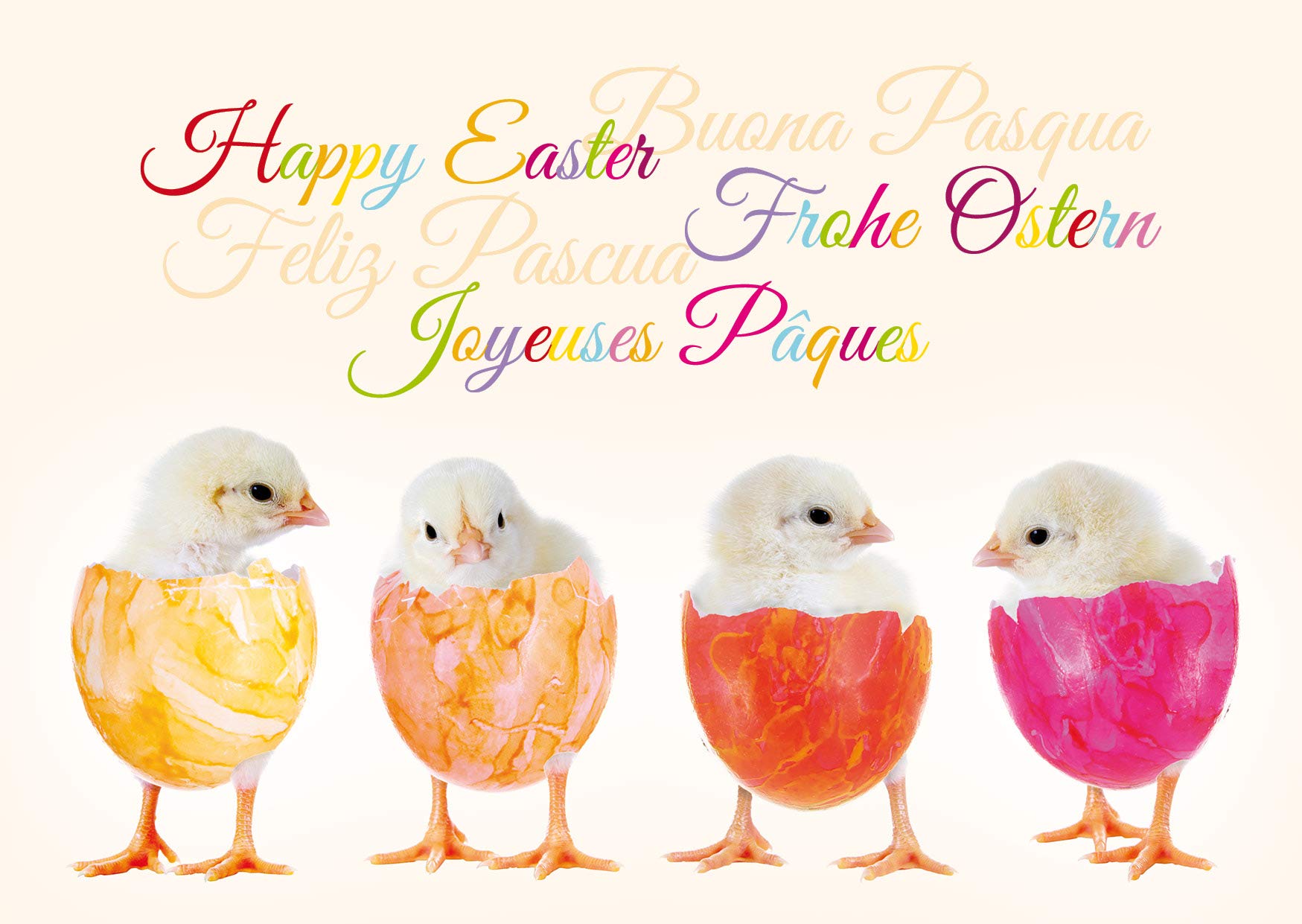 Set of 10 Funny Easter Cards With Envelopes, Lovingly Designed By Edition Colibri - Funny Greeting Cards For Easter (11069)
