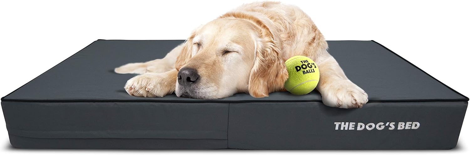 The Dog’s Bed Orthopaedic Memory Foam Dog Bed for XL Dogs Waterproof Support Mattress, Removable Washable Cover