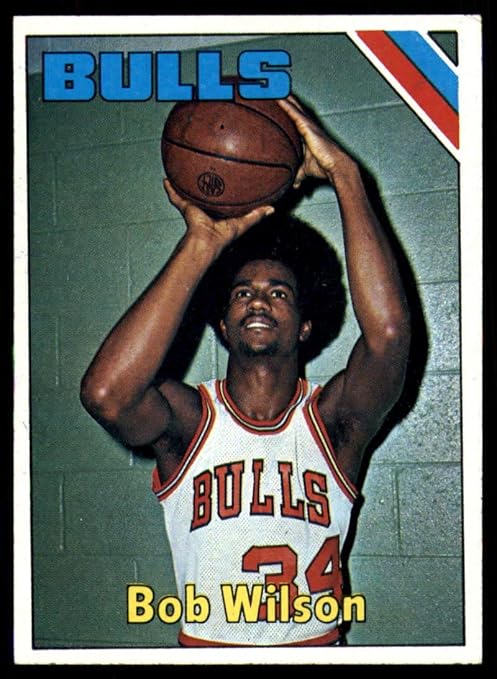 wilson 1975 basketball