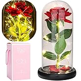 VJJB Beauty and The Beast Rose in Glass Dome, Preserved Rose Enchanted Red Silk Rose Flowers with Colorful LED Light in Glass Dome, Birthday Gift for Mom, Wife, Girlfriend