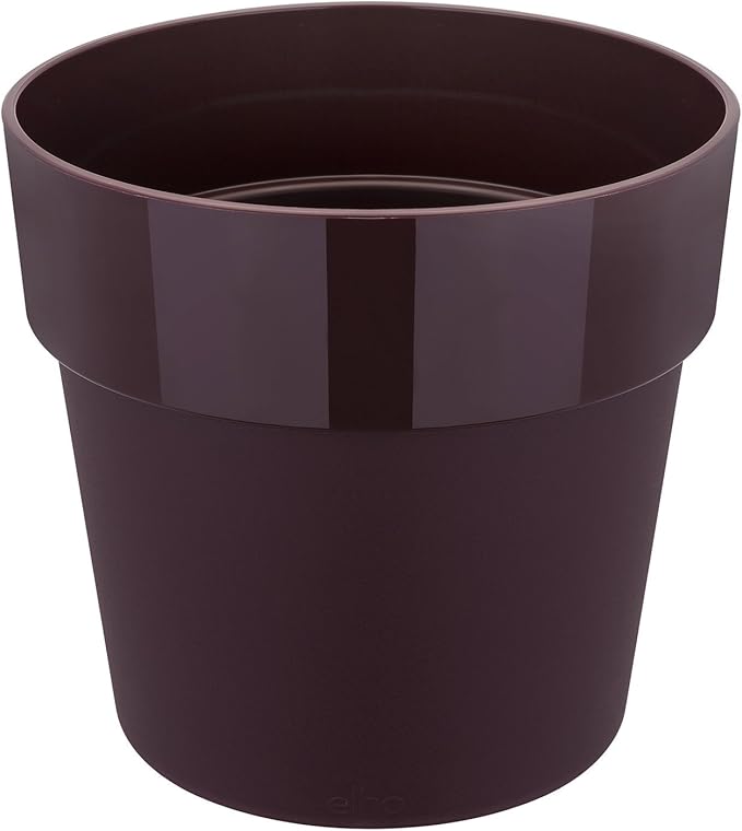 pot de fleurs b.for original rond mini 7cm mûre voil 6.6 x 6.6 x 6.1 cm Amazon.fr Jardin