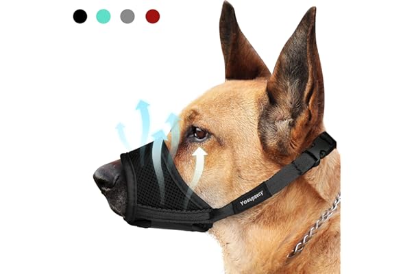 where to buy a muzzle