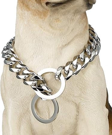 silver chain for dogs