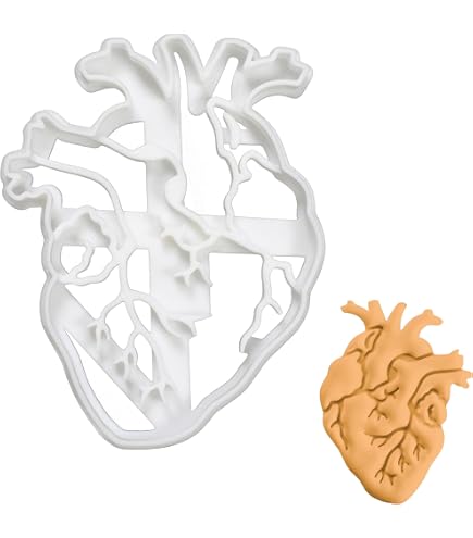 Set Di 4 Formine Per Biscotti A Forma Di Organi Anatomici: Cuore, Cervello, Polmoni E Rene. Plastica Alimentare, Fatte In USA. - 3