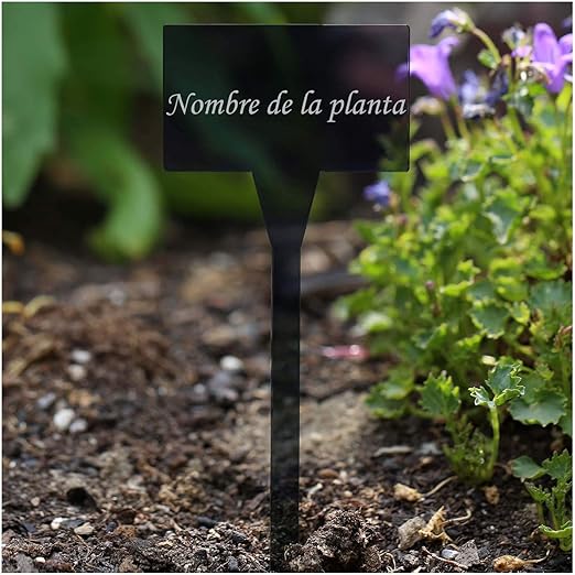 Acrí lico plantar signos cuadrado gris, aburrido – RESIST encia de ...