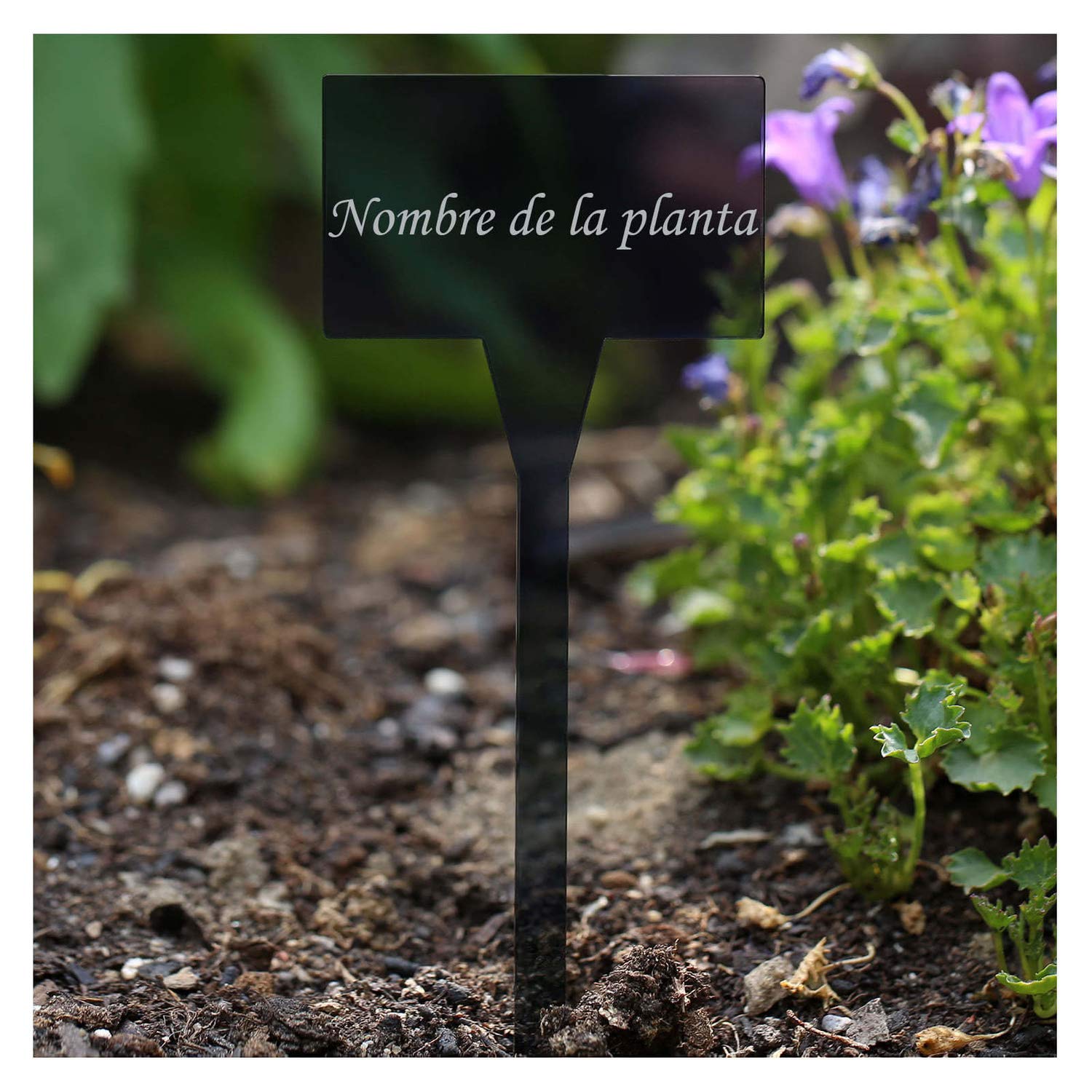 Acrí lico plantar signos cuadrado gris, aburrido - RESIST encia de ...