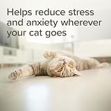 Beaphar StressLess Herbal Calming Cat Collar 35cm Reduces Stress Valerian view 3