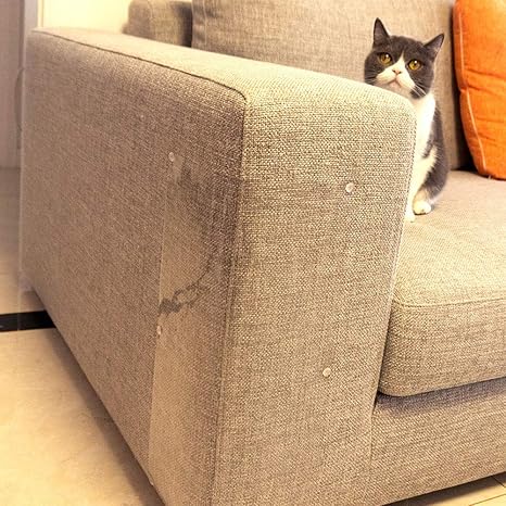 Amazon Com Petlex Cat Scratch Sofa Protector Prevent Cats From
