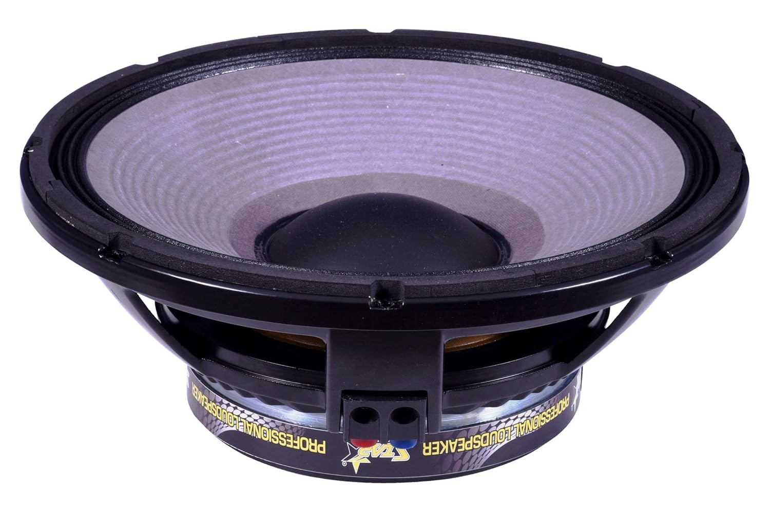 ahuja 450 watt speaker price