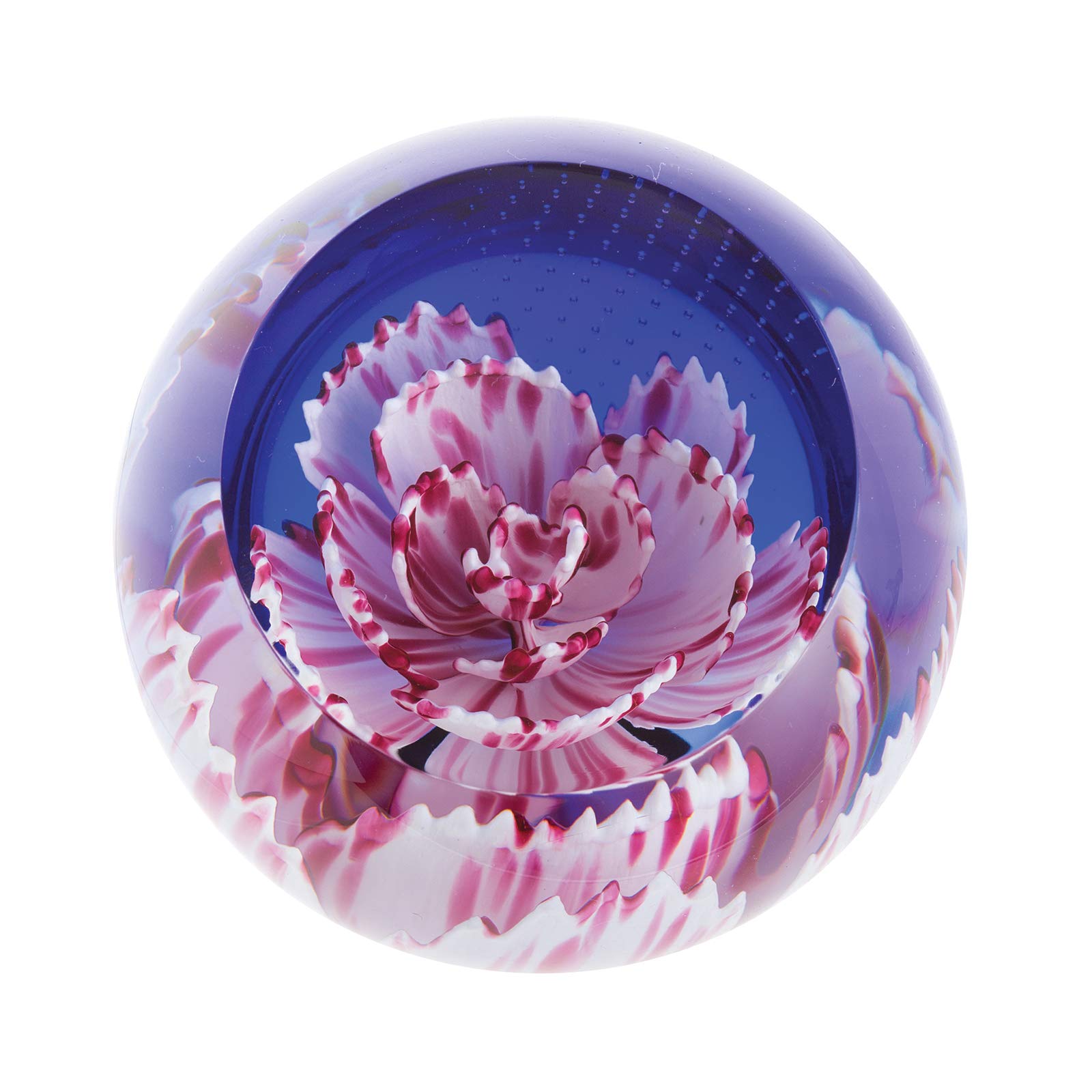 Caithness Glass Charms Carnation Paperweight | Single | 67mm x 67mm | Handmade in Scotland | An encased, beautiful life like flower sitting perfectly | Ornamental | Boxed | Gift
