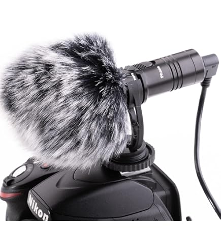 Amazon.com : Canon SM-V1 5.1 Channel Surround Microphone for S and