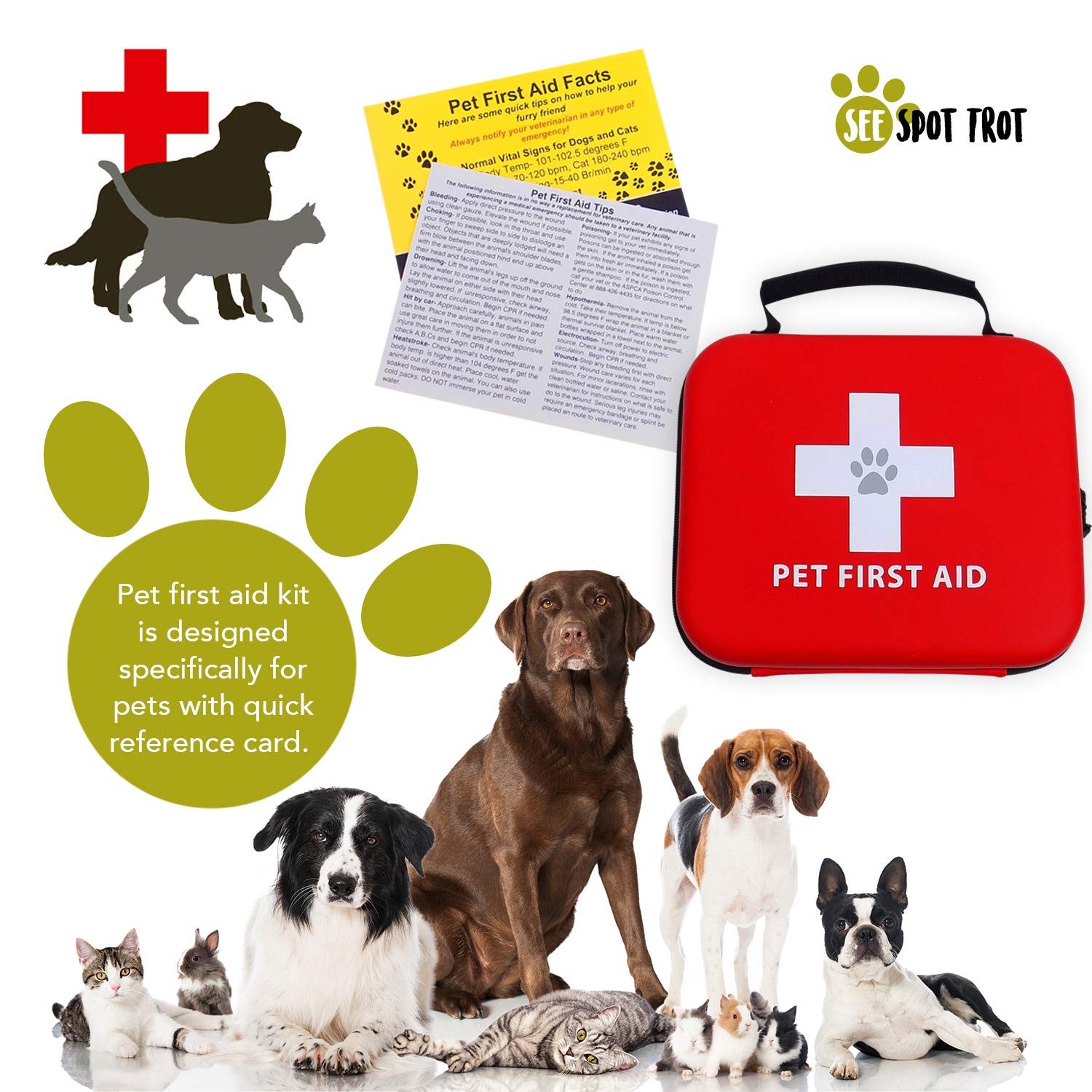 First Aid Quick Reference Card The Y Guide