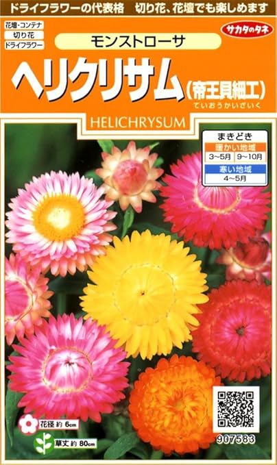 Amazon サカタのタネ 実咲花75 ヘリクリサム 帝王貝細工 モンストローサ 花