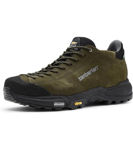Amazon.com | Zamberlan,Men's,Salathe' GTX RR,Dark Grey 1,8,Medium