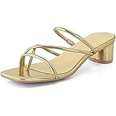 Shoe'N Tale Strappy Heels for Women Chunky Thong Strap Slip On Mules Square Toe Low Kitten Heeled Sandals