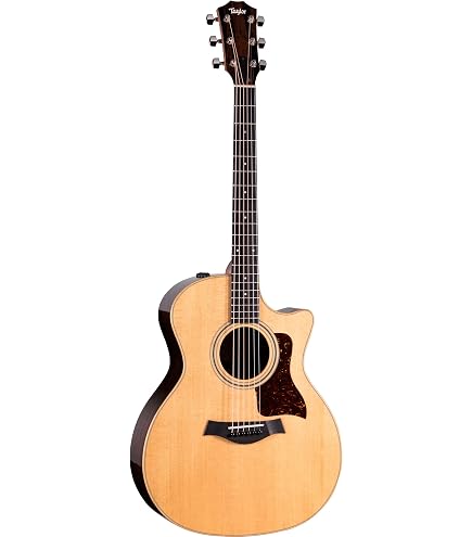 Amazon.com: 914ce V Class Grand Auditorium Acoustic Electric
