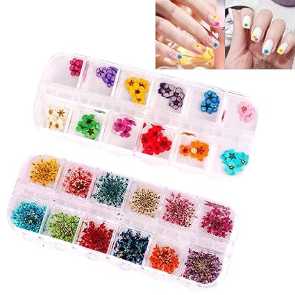 Wohlstand Nail Dry Flowers 12 Color Dried Flower 3d Glow Nail