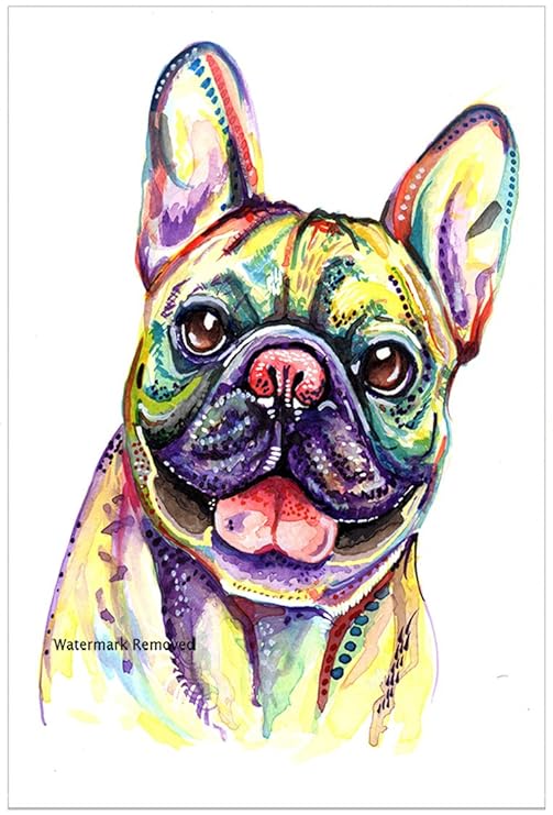 BullDog francés Imán para nevera regalo – toro perro calcetín de ...