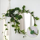 Cerolopy 30 Pcs Plant Climbing Wall Clips with Adhesive Green Leaf Shaped view 7