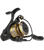 Daiwa BG2000 BG Saltwater Spinning Reel : Sports & Outdoors