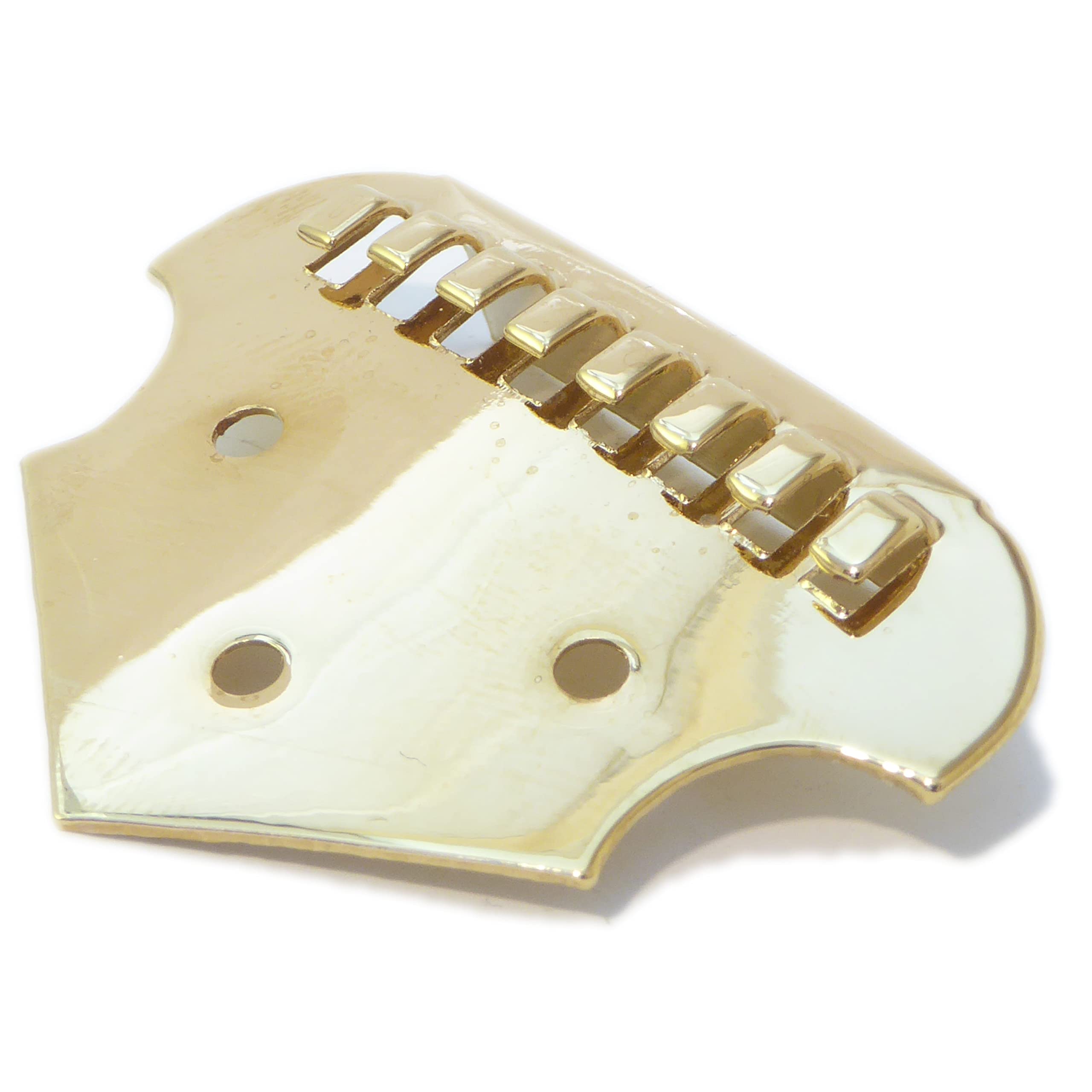 Black Dog Music Supplies Banjo Tailpiece in Gold