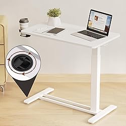 FLEXISPOT Mobile Standing Desk with Wheels