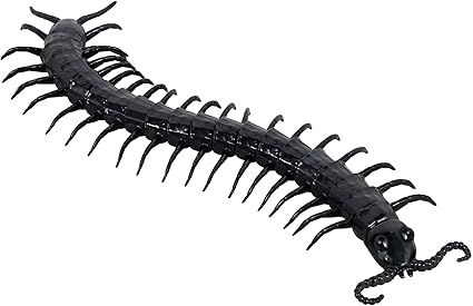 giant centipede toy