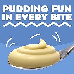 Jell-O Cheesecake Instant Pudding & Pie Filling Mix