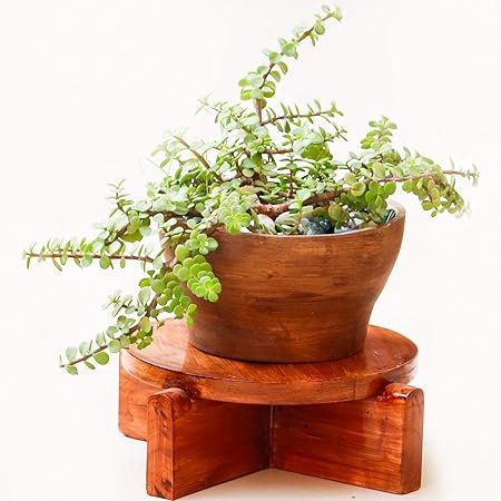 Lasaki Wooden Plant Stand - Holds Upto 20 cm Dia Plant Pot - Wooden Pot Stand - Pot Not Included for Home & Garden, Indoor & Outdoor (Small Chowki Beach)